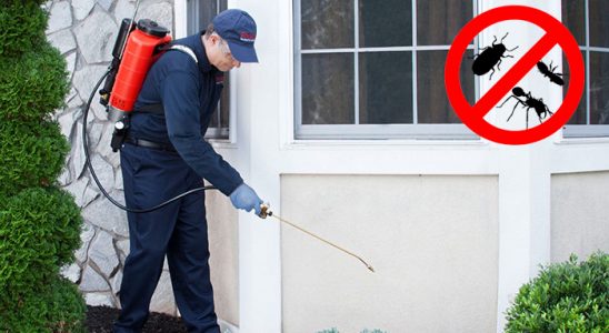 Erfelek Kemirgen İlaçlama böcek ilaçlama ve haşere kontrolü — ilaclama-tr.com
